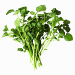 watercress