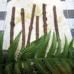 Sean Souter Palm Tree Tutorial Fronds